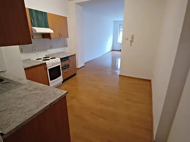 Pronájem bytu 1+1 54 m², Plzeň – náhled fotky 1