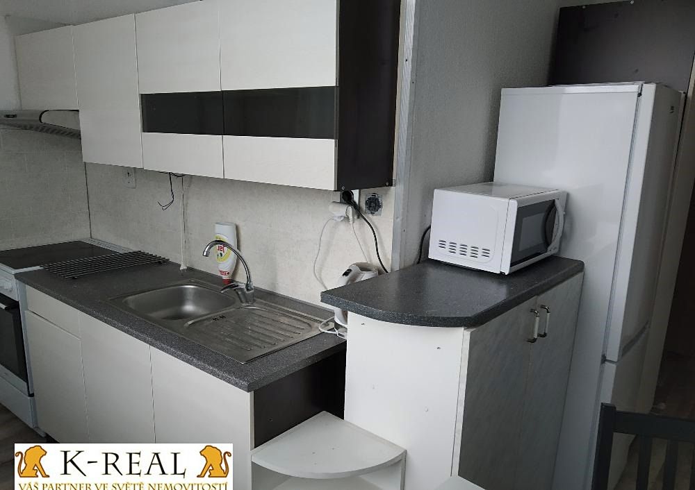 Pronájem bytu 2+1 47 m² – fotografie 3