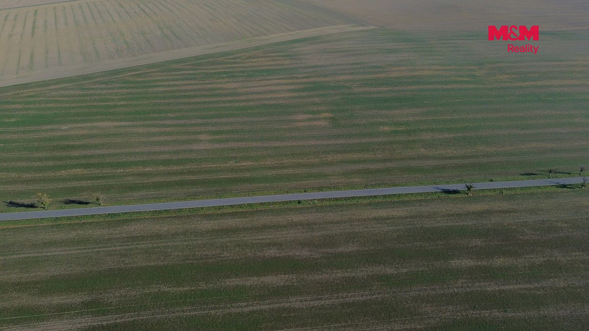 Prodej pole 5390 m² – fotografie 3