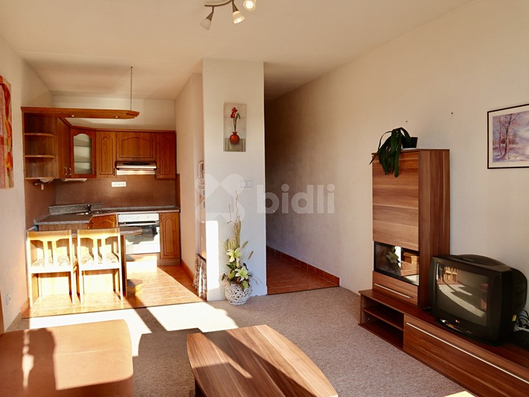 Wohnung 1+kk zur Miete, 30 m² (10 von 12)