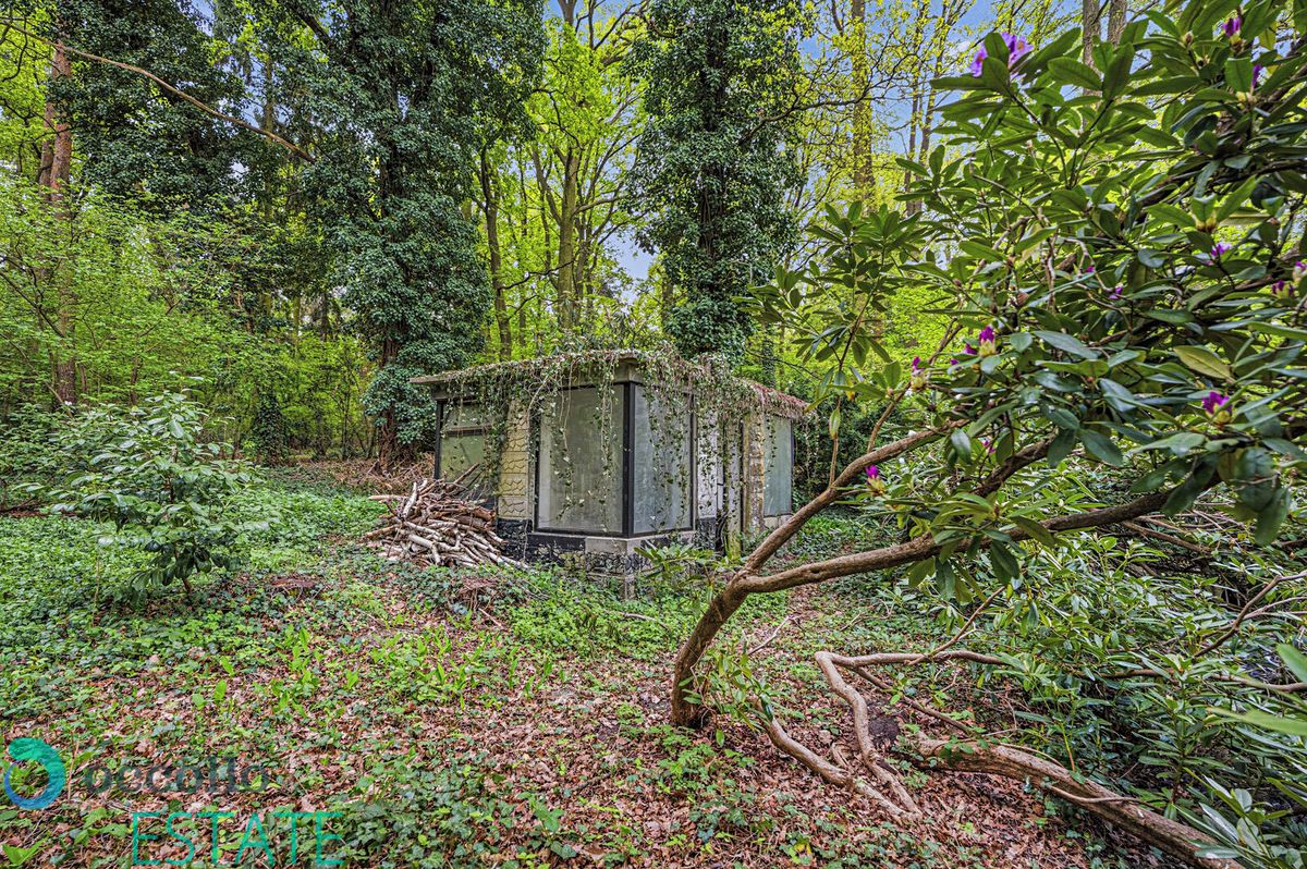 Prodej stavebního pozemku 1099 m² – fotografie 3