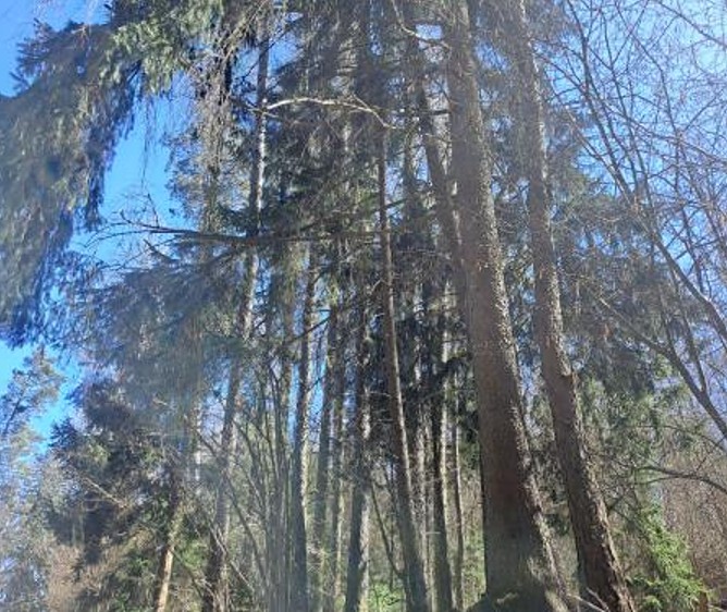 Grundstück zum Kauf, 424 m² (1 von 5)