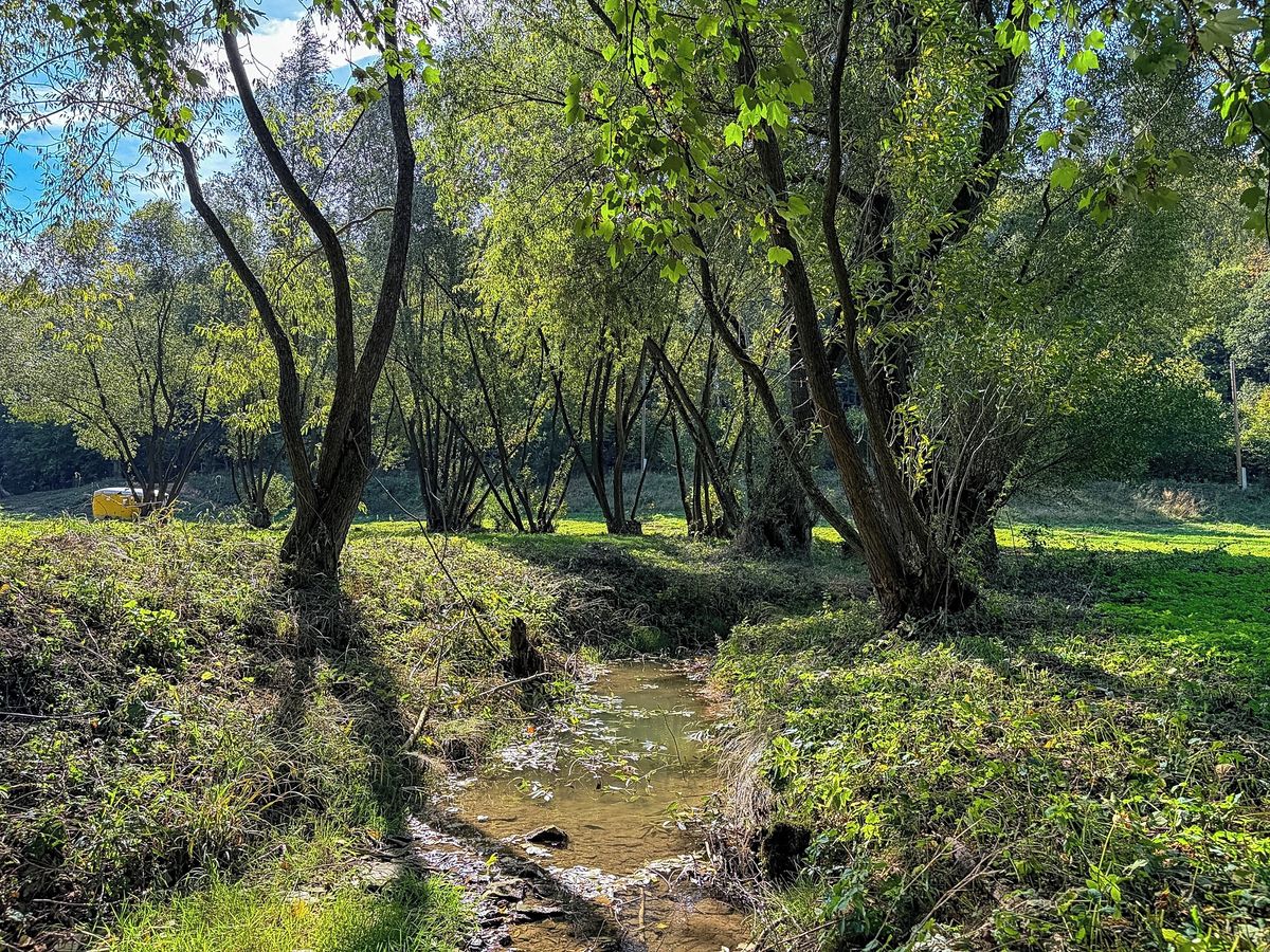 Prodej stavebního pozemku 19850 m² – fotografie 3