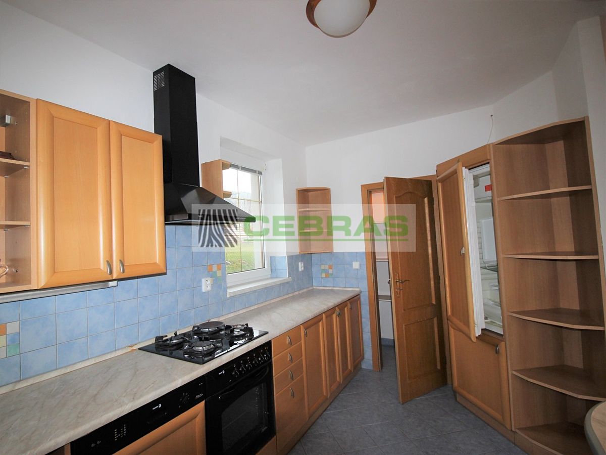 Pronájem rodinného domu 272 m², pozemek 828 m² – fotografie 4