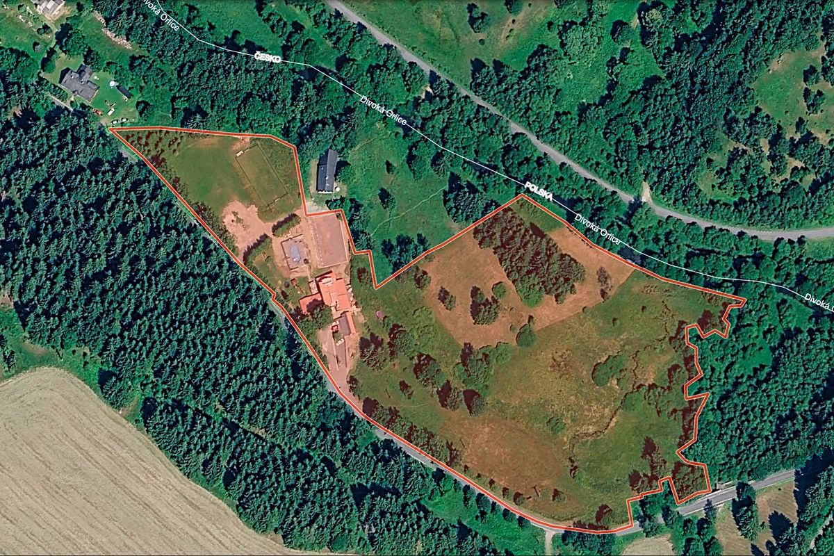 Prodej louky 44000 m², Bartošovice v Orlických horách – fotka 1 z 3