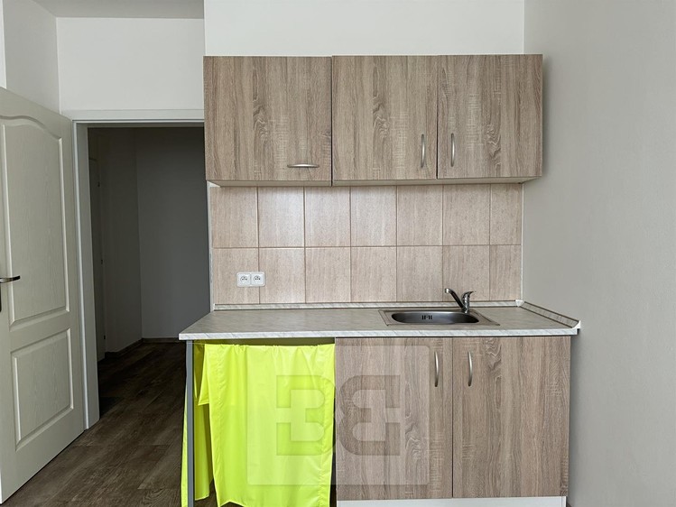 Wohnung 1+kk zur Miete, 30 m² (3 von 14)