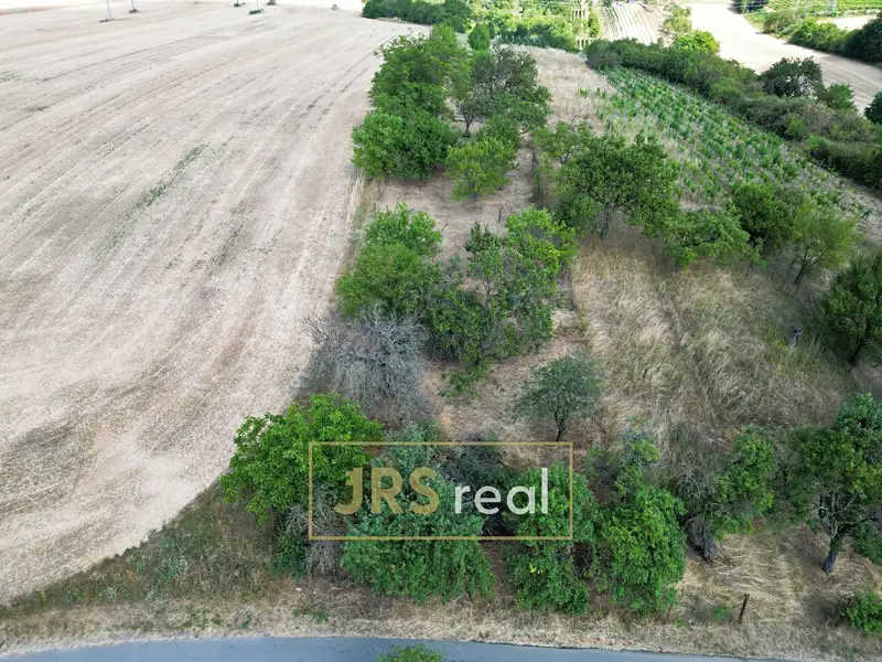 Prodej sadu, vinice 1046 m², Kyjov – náhled fotky 3