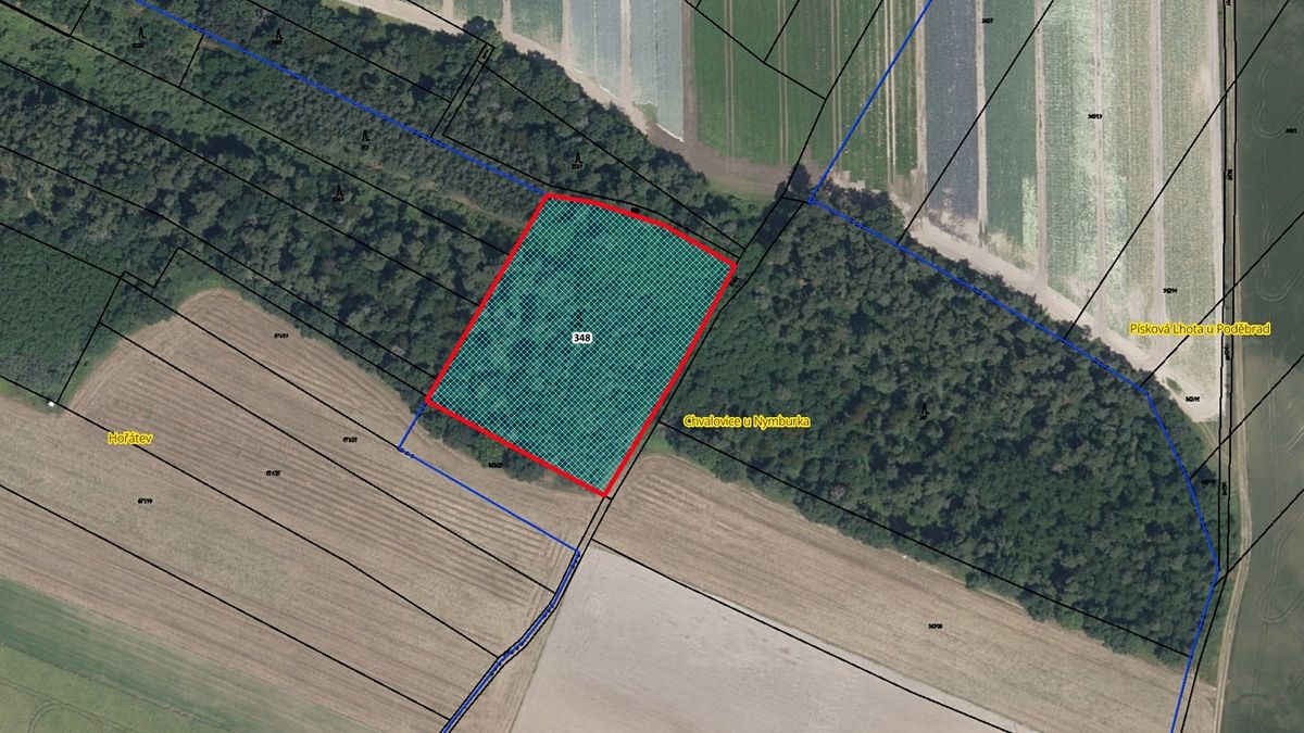 Prodej lesa 8552 m²