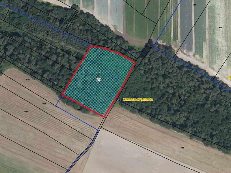Prodej lesa 8552 m², Kovanice – náhled fotky 1