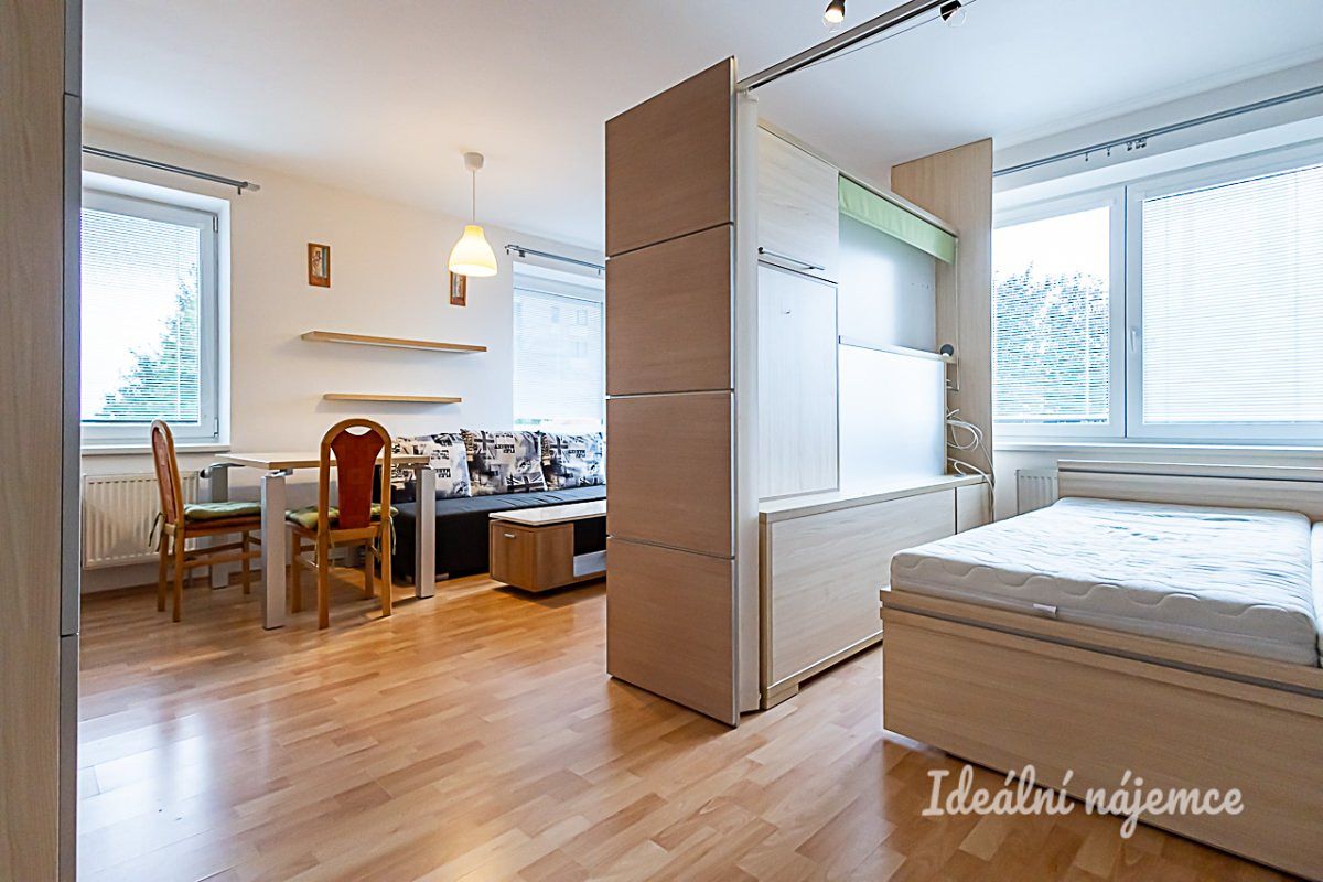 Pronájem bytu 1+kk 40 m² – fotografie 5