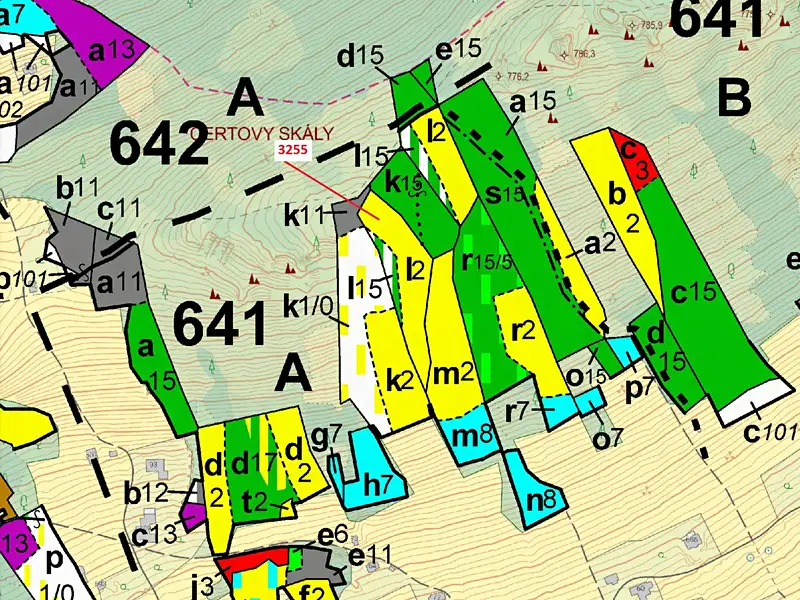 Dražba lesa 6125 m², Velké Hamry – náhled fotky 3