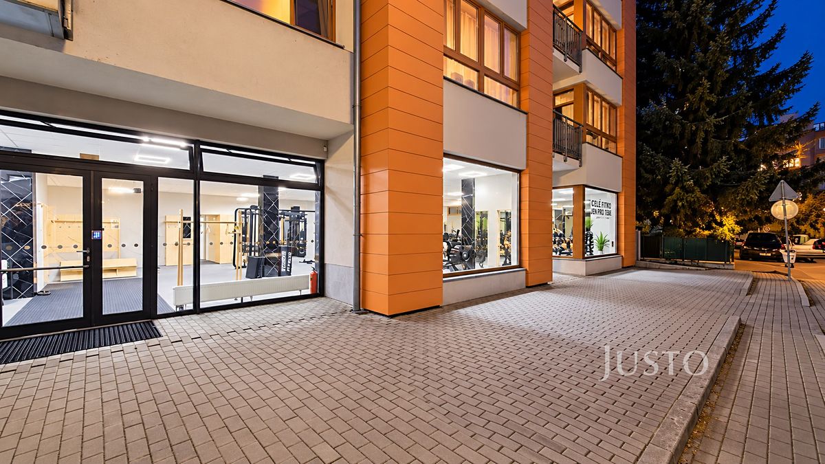 Prodej obchodního prostoru 229 m² – fotografie 2