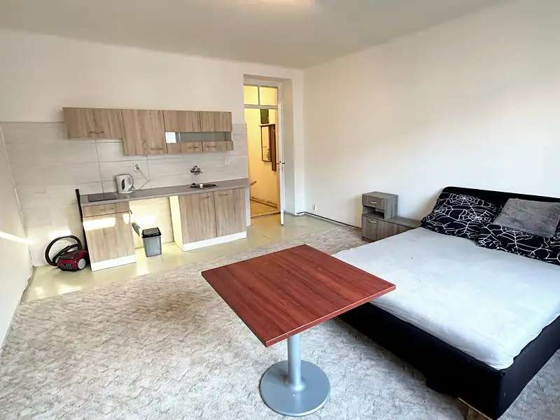 Pronájem bytu 1+kk 30 m², Plzeň – náhled fotky 2