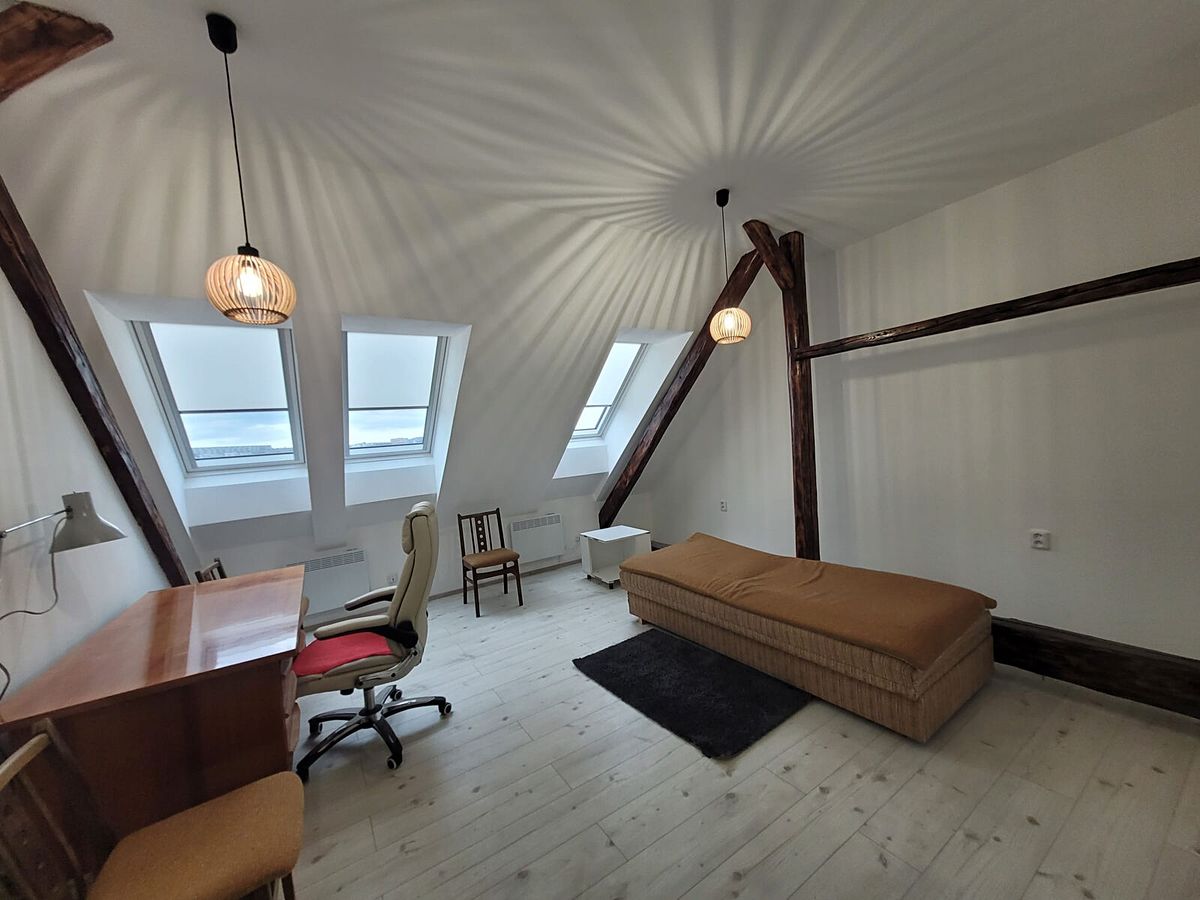 Pronájem bytu 1+1 43 m² – fotografie 4