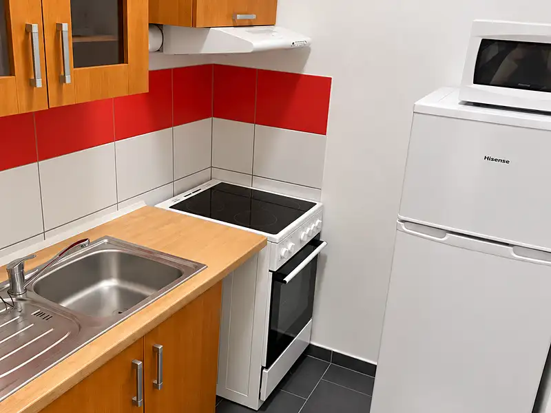 Pronájem bytu 2+1 48 m², Olomouc – náhled fotky 1