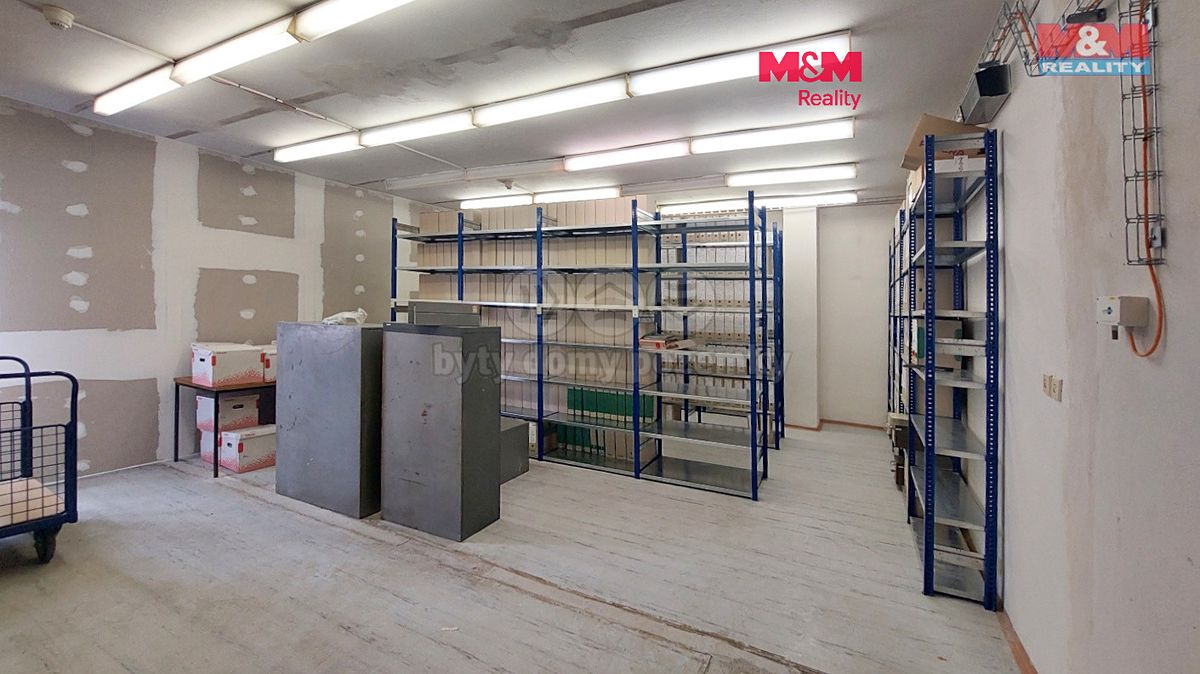 Pronájem obchodního prostoru 450 m²