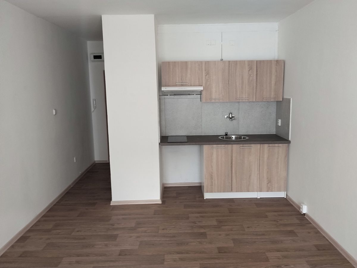 Pronájem bytu 1+kk 30 m², Ostrava – fotka 1 z 3