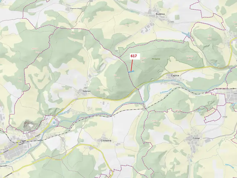 Dražba lesa 4280 m², Rabí – náhled fotky 1
