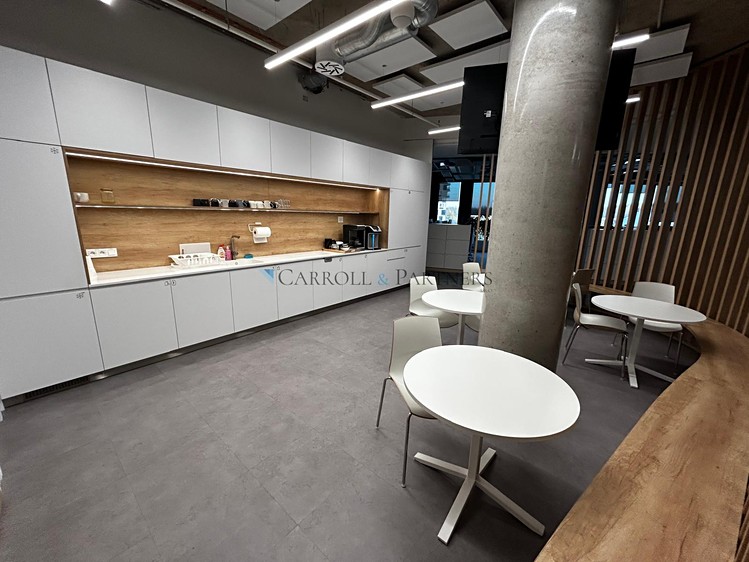 Pronájem komerčního prostoru, 1 000 m² (11 z 12)