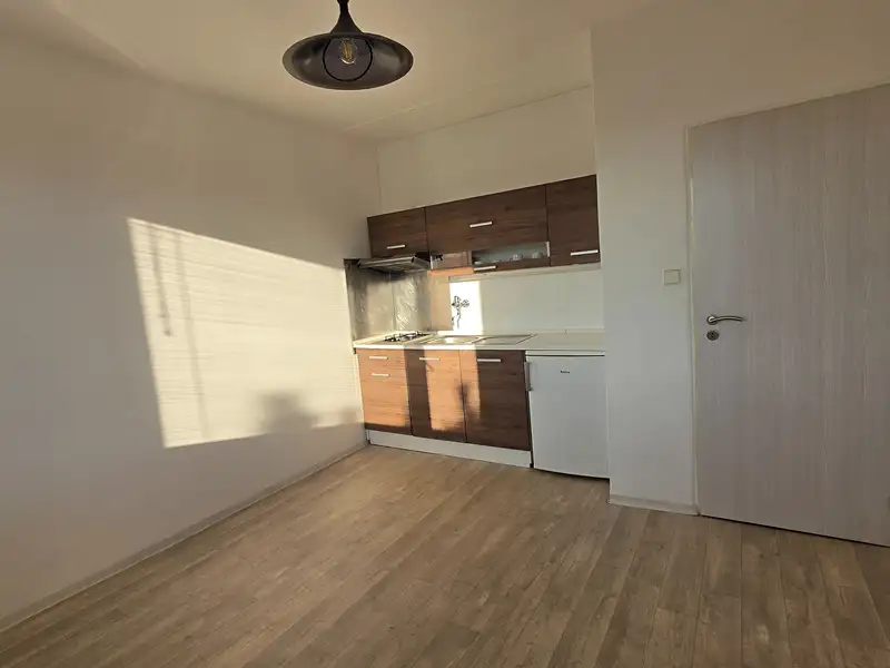 Pronájem bytu 1+kk 21 m², Ústí nad Orlicí – náhled fotky 3