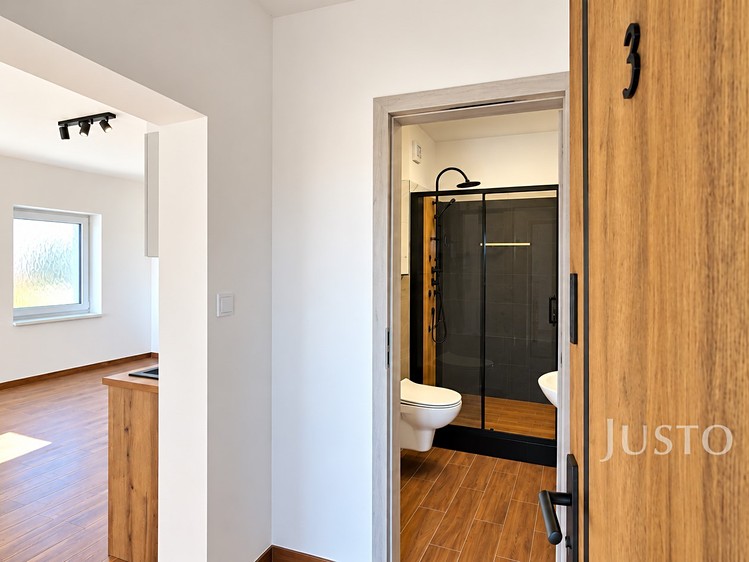 Pronájem bytu 3+kk, 50 m² (19 z 32)