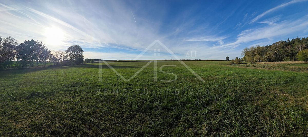 Prodej louky 20304 m² – fotografie 4