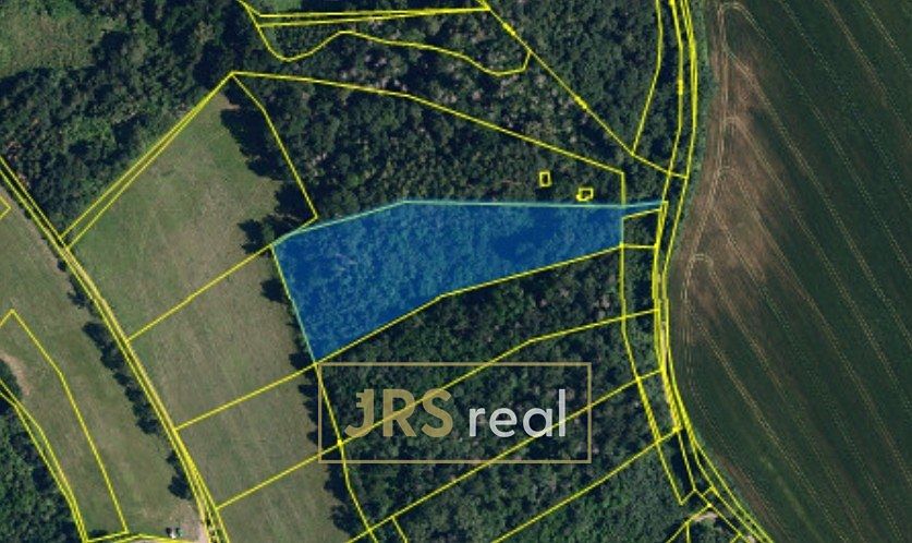 Prodej lesa 7323 m², Březina – fotka 1 z 3