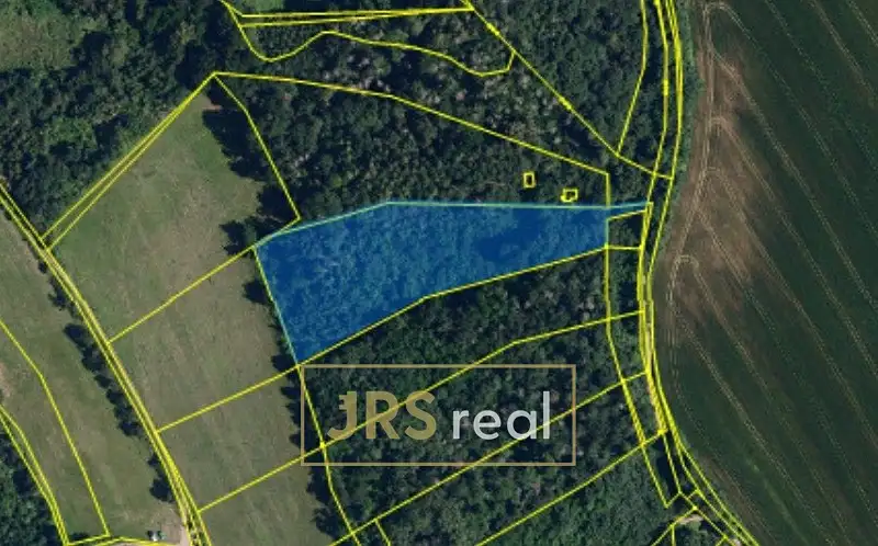 Prodej lesa 7323 m², Březina – náhled fotky 1