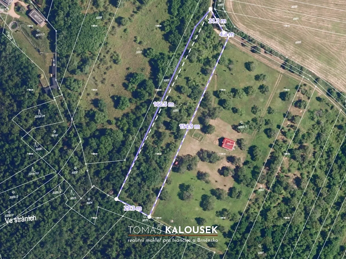 Fotka 13 z 16