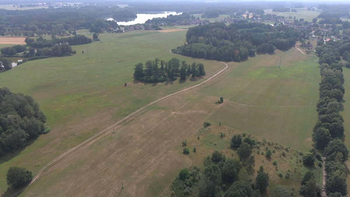 Prodej lesa 360000 m² – fotografie 5