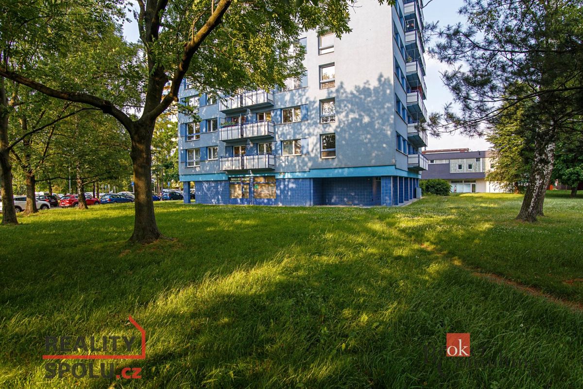Pronájem bytu 1+1 39 m² – fotografie 5