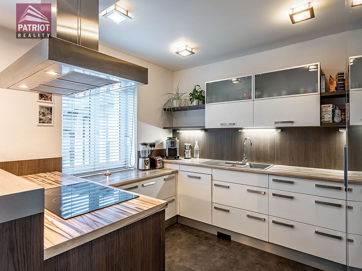Pronájem rodinného domu 480 m², pozemek 846 m² – fotografie 3
