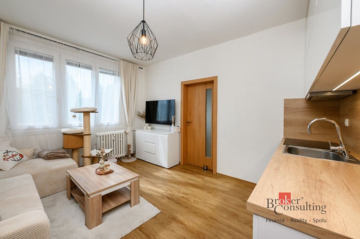 Pronájem bytu 1+1 36 m² – fotografie 3