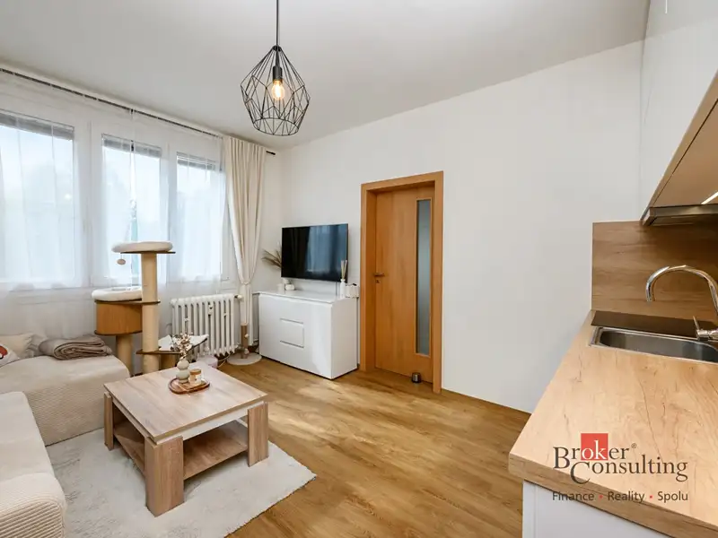 Pronájem bytu 1+1 36 m², Plzeň – náhled fotky 3