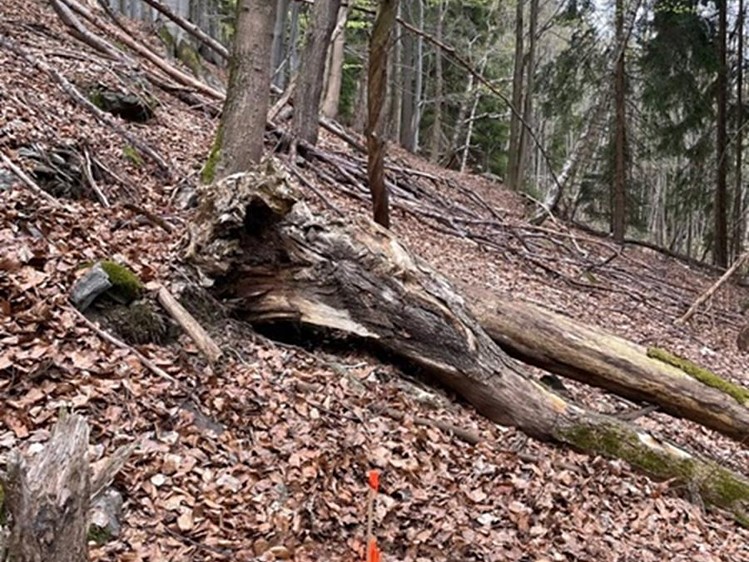 Grundstück zum Kauf, 3.303 m² (11 von 17)