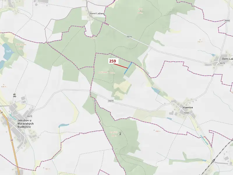 Dražba lesa 6645 m², Vícenice – náhled fotky 1