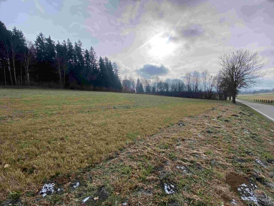 Prodej pole 3624 m² – fotografie 4