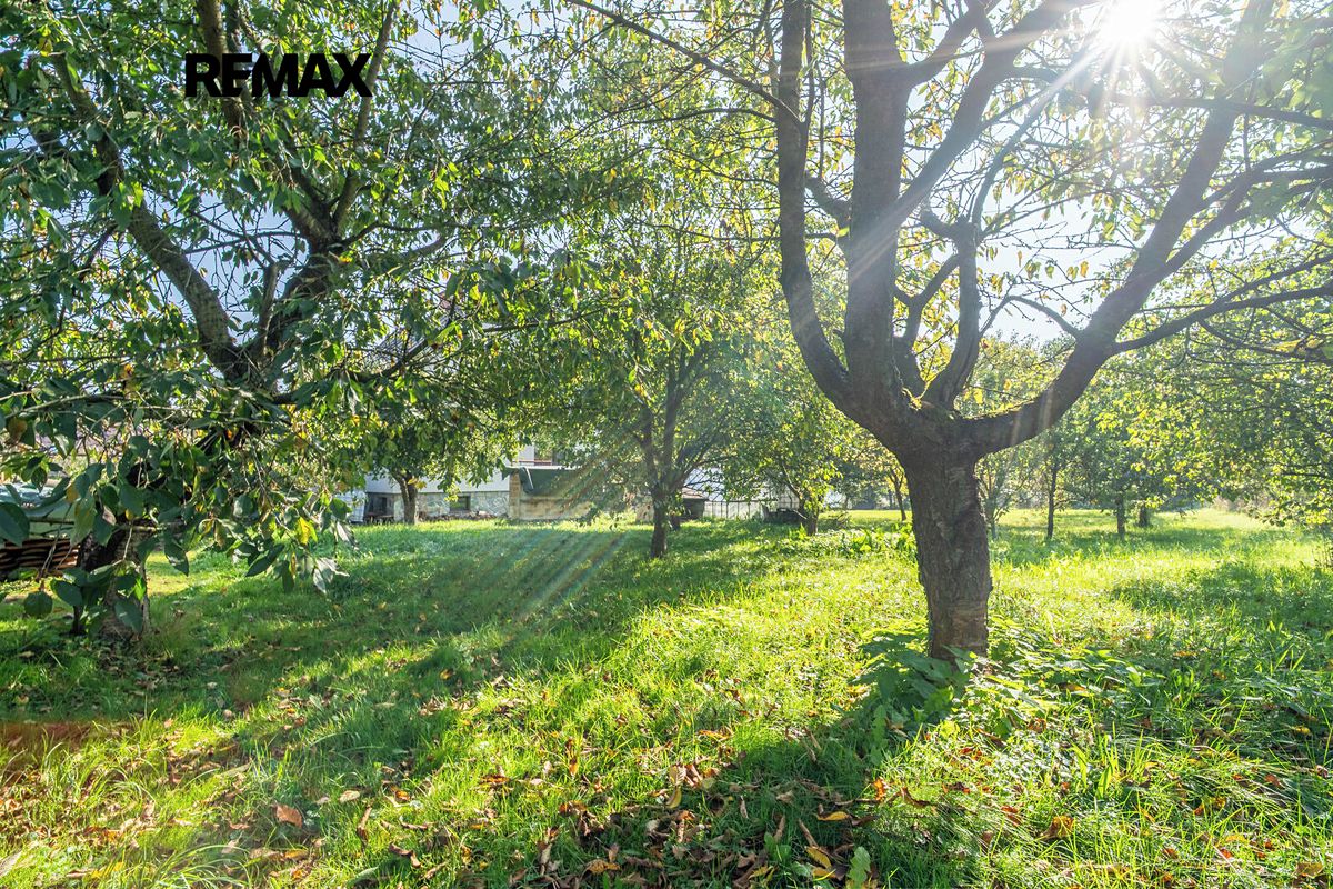 Prodej vícegeneračního domu 212 m², pozemek 691 m² – fotografie 4