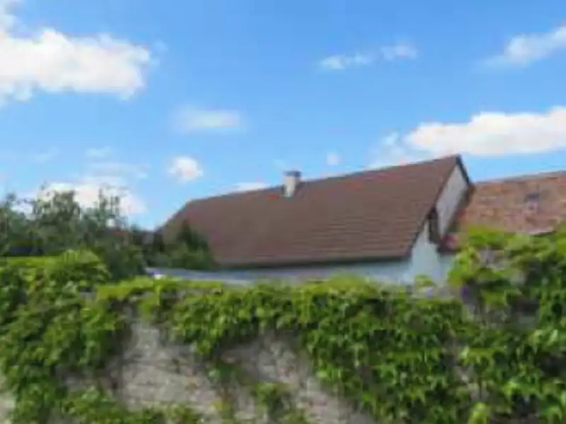 Dražba rodinného domu 88 m², pozemek 451 m², Brod nad Dyjí – náhled fotky 3