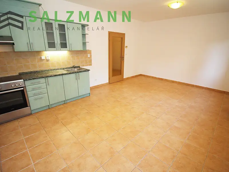 Prodej bytu 1+kk 40 m², Plzeň – náhled fotky 3