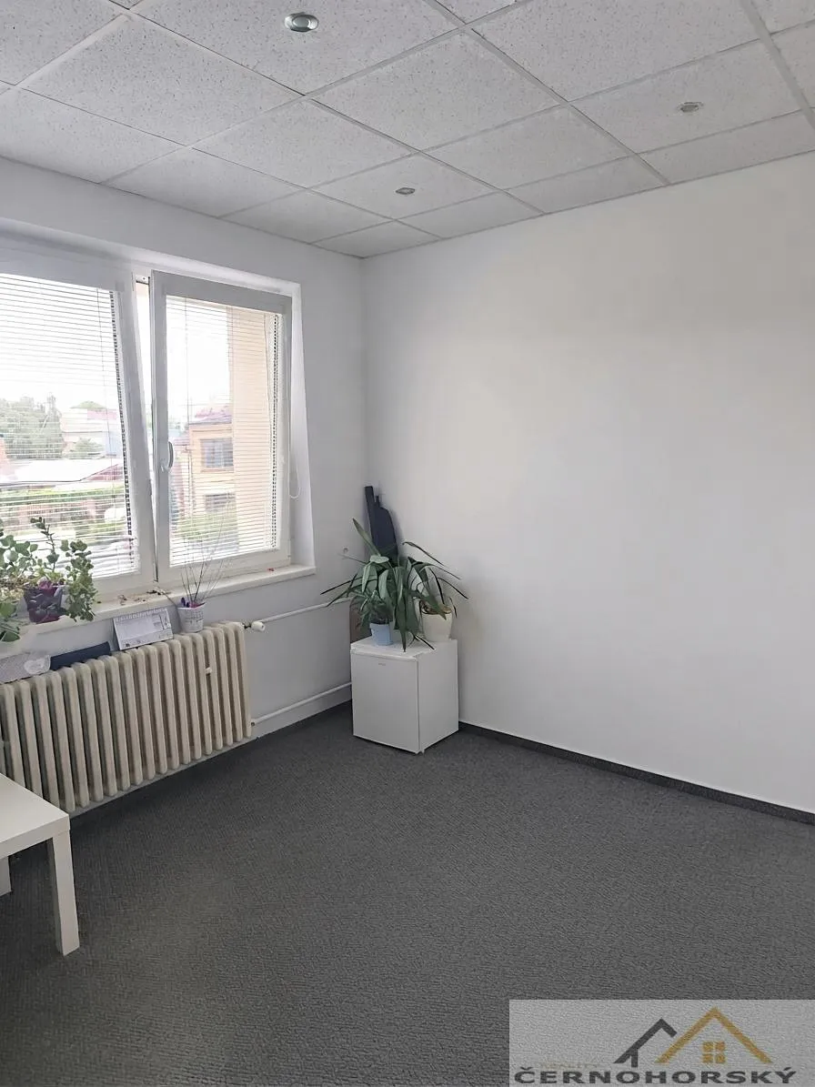 Pronájem kanceláře 21 m²