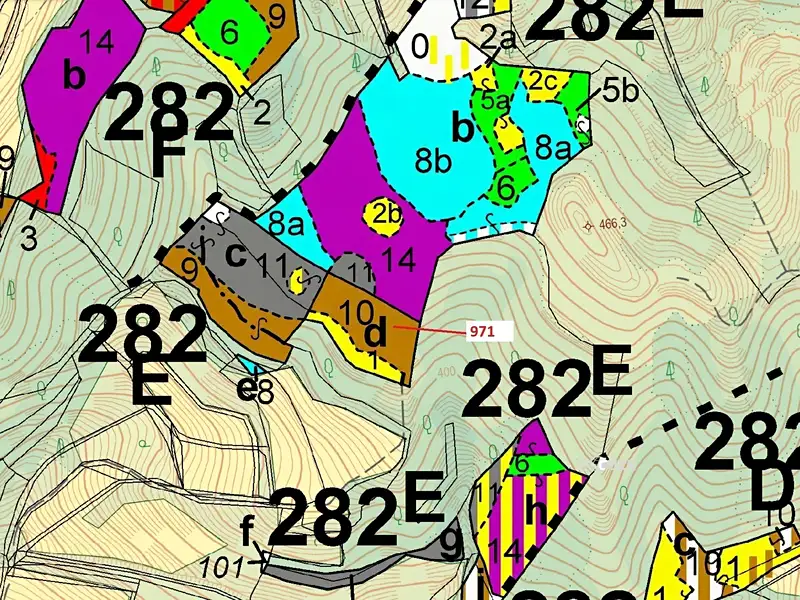 Dražba lesa 4308 m², Lhota Rapotina – náhled fotky 3