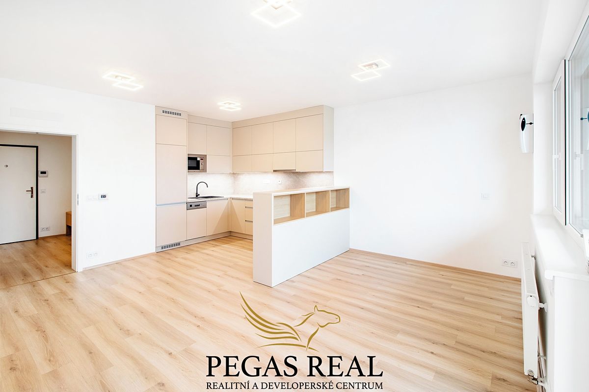 Pronájem bytu 1+kk 43 m² – fotografie 4