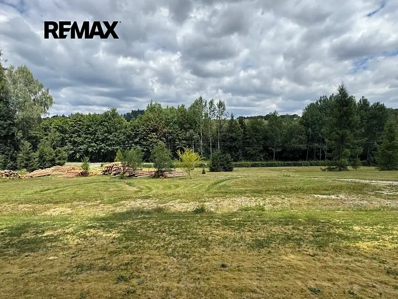 Prodej stavebního pozemku 990 m², Borušov – náhled fotky 2