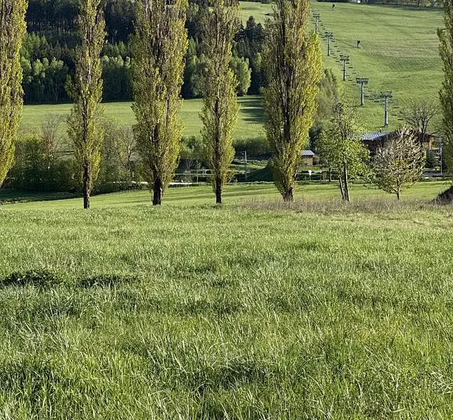 Prodej stavebního pozemku 1500 m², Jeřmanice – náhled fotky 3