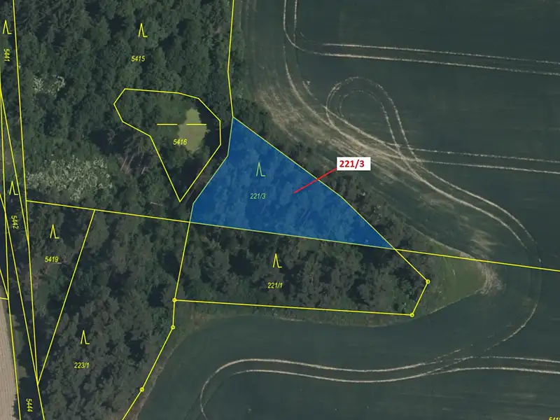 Dražba lesa 1109 m², Peč – náhled fotky 2