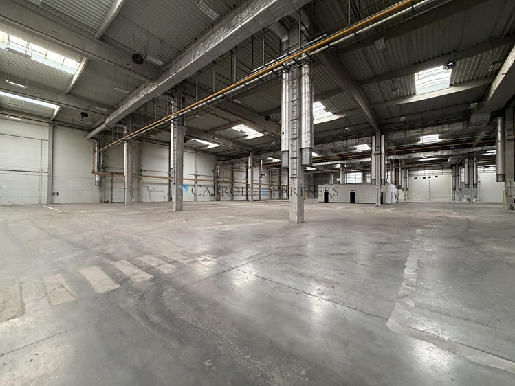 Pronájem komerčního prostoru, 5 700 m² (17 z 18)