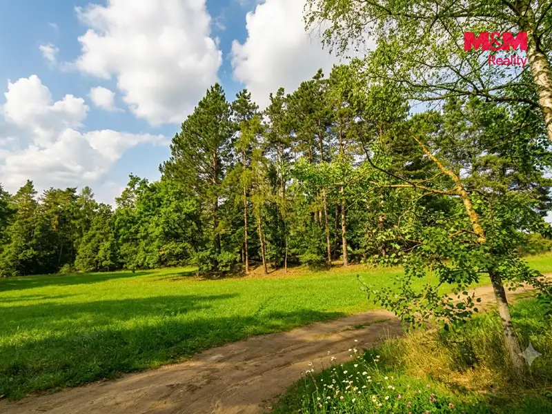 Prodej lesa 7042 m², Petrovice – náhled fotky 2