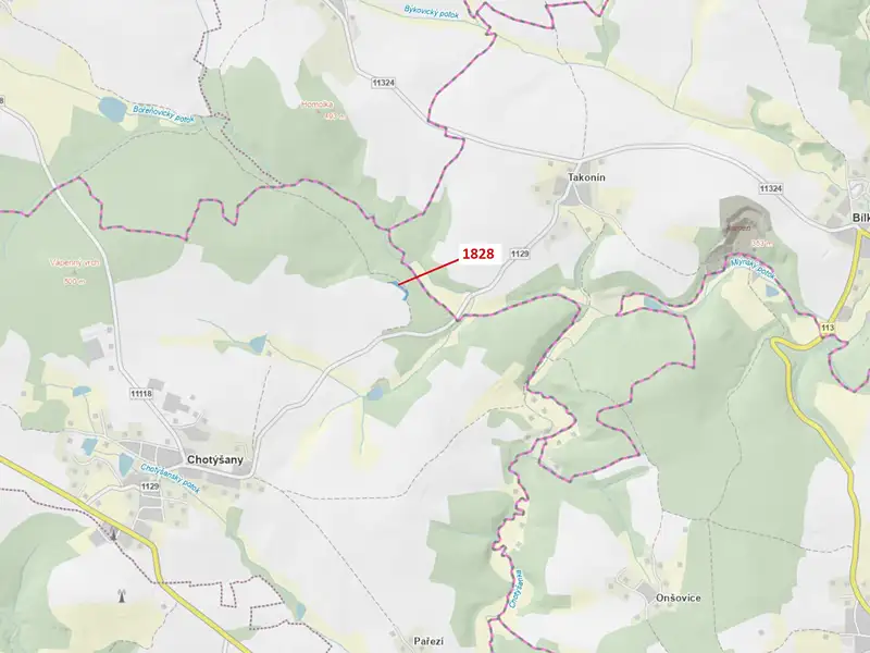 Dražba lesa 1841 m², Chotýšany – náhled fotky 1