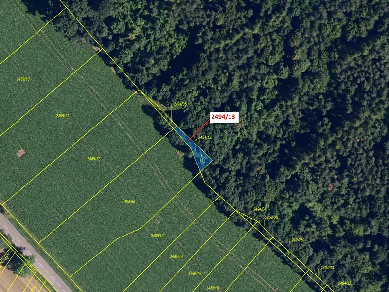 Dražba lesa 113 m², Oslavany – náhled fotky 2